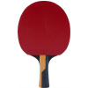 Ракетка Butterfly Timo Boll Carbon