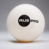 Набор мячей для настольного тенниса TTS DJ40+ Premium Rus Pro 3* (6 шт., белые)