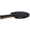 Ракетка Butterfly Timo Boll Carbon