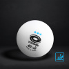 Мячи пластиковые Yinhe(Galaxy) Y40+ 3*** ITTF (белые, 6 штук)