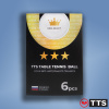 Набор мячей для настольного тенниса TTS DJ40+ Ing Select 3* (6 шт., белые)